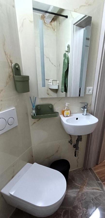 Apartmaji Stars Mavcice Extérieur photo